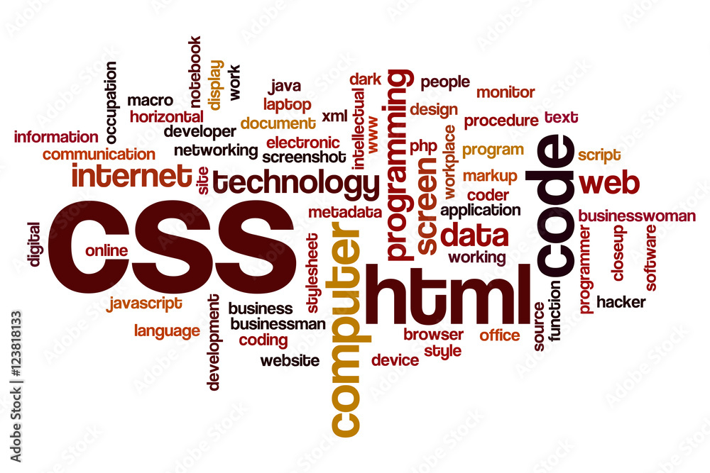 Wall mural CSS word cloud