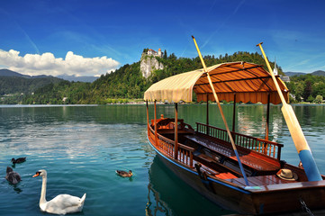 Bled lake Slovenia,Europe.Traditional Pletna boat on the lake with swans. In the background is the...