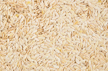 close up of cucumber seeds for background