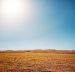 Fototapeta premium meadow and blue sky