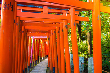 Fototapeta premium japan