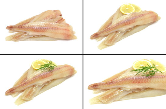 płat mintaja