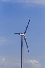 Fototapeta premium wind turbines