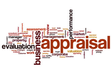 Appraisal word cloud