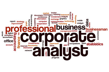 Corporate analyst word cloud