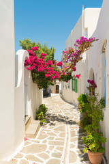 Beautiful alley with pink flowers at Prodromos local village of Paros island in Greece.

