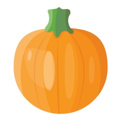 Pumpkin vector illustration isolated