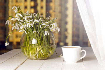 flower on the book in front of the window in the morning. Copy s