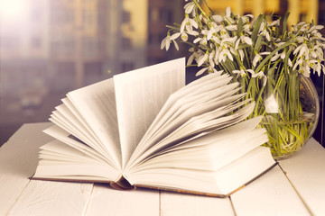 flower on the book in front of the window in the morning. Copy s