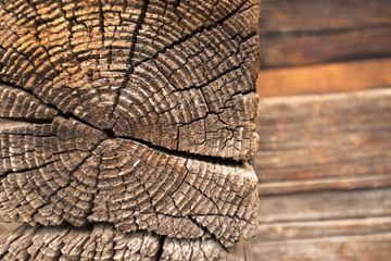 Fototapeta premium texture of dark wood. natural background.