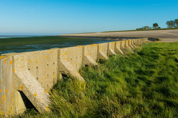 Reinforcement of the dike around former island Wieringen in The Netherlands