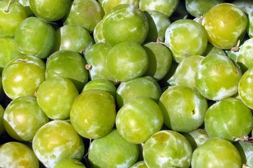 Prunes vertes