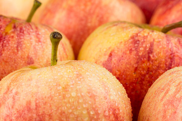 Wet apples with water drops