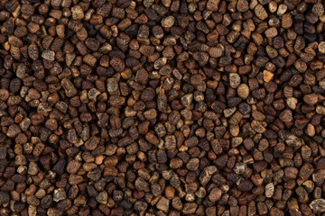 Decorticated cardamom seeds in a wooden spoon