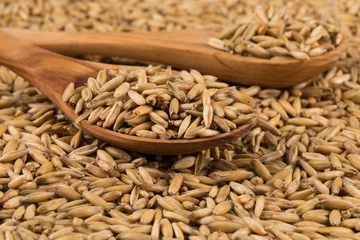 Gordijnen natural oat grains background, closeup © VertigoBarrov