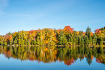 Autumn colors in Quebec, Canada