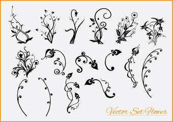 Vector Set Flower
