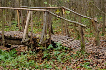 Мосто в лесу