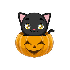 Cute black cat peeking out of a pumpkin