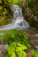 Pretty waterfalls deep in the woods, on a bright sunny day in spring