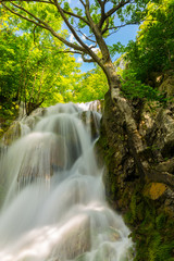 Obraz premium Pretty waterfalls deep in the woods, on a bright sunny day in spring
