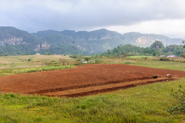 Countryside in Vinales Valley, Cuba