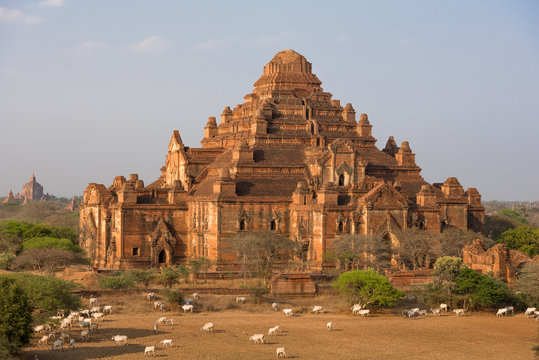 Dhammayangyi temple The biggest Temple in Bagan , Myanmar