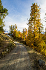 Fototapeta premium mountain road