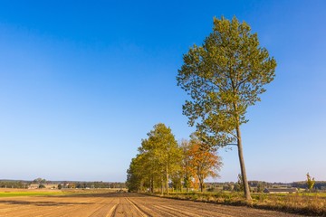 Fototapeta na wymiar Polish rural landscape with autumnal fields at good weather
