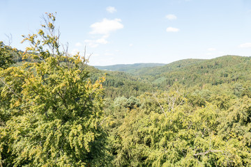 Fototapeta premium Landscape.