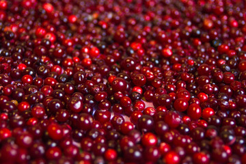 Cranberries