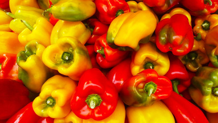 Colorful peppers background