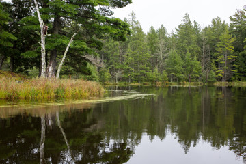 Fototapeta na wymiar Calm Wilderness Lake