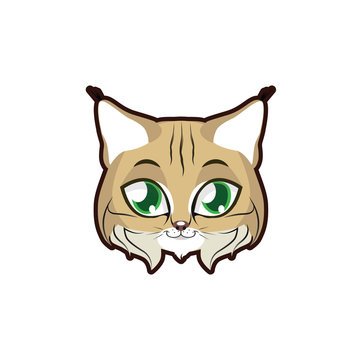 Bobcat portrait illustration