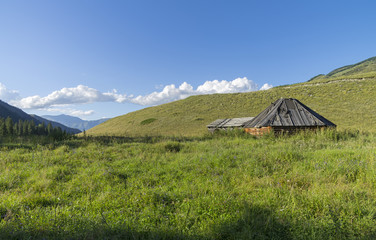 Fototapeta na wymiar Abandoned cattle-ranch. Altai Mountains, Russia.