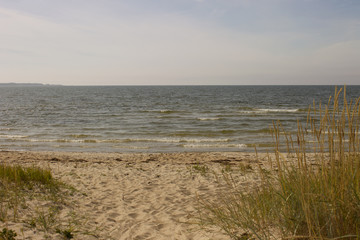Baltic sea, summer, sun, light breeze. Wild beach.