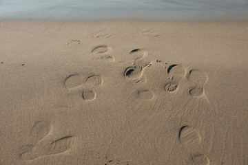 Footprints on beach sand and lake shore
