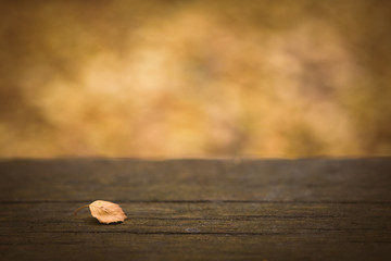 Wooden table with fall or autumn nature bokeh background. Blurred leaves and branches.
