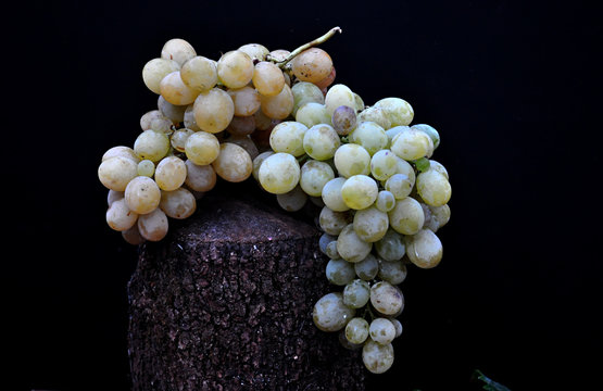 golden grapes bunch