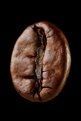  Macro coffee bean © Kuzmick