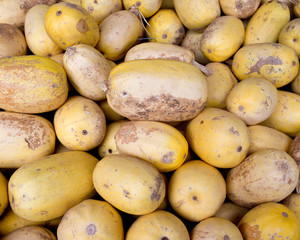 Raw organic butternut squash in local farmers market store