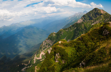 Obraz premium Rose Pick View