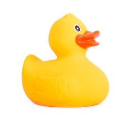 Rubber duck yellow toy for swimming isolated on white