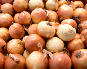 Fresh organic onion in local farmers market store