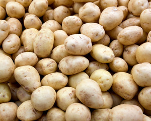 Raw organic potatoes in local farmers market store