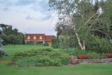 Obraz premium Burch tree and a wooden house