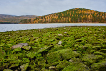 Stone shore moss-covered mountains in the background with trees and river