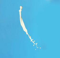 Splash of milk on blue background