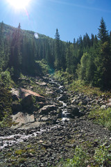 Mountain Stream