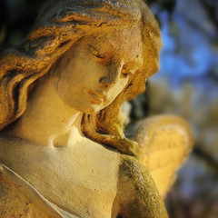 Beautiful close up af a face angel stone sculpture with a sweet